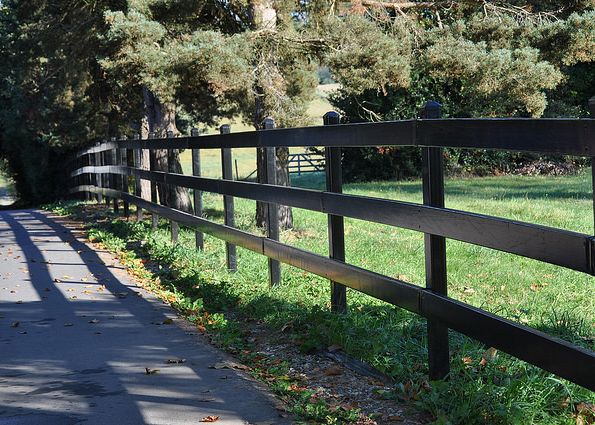 What is Woodguard, and how can it protect my wood fence?